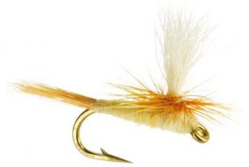 Light Cahill Parachute